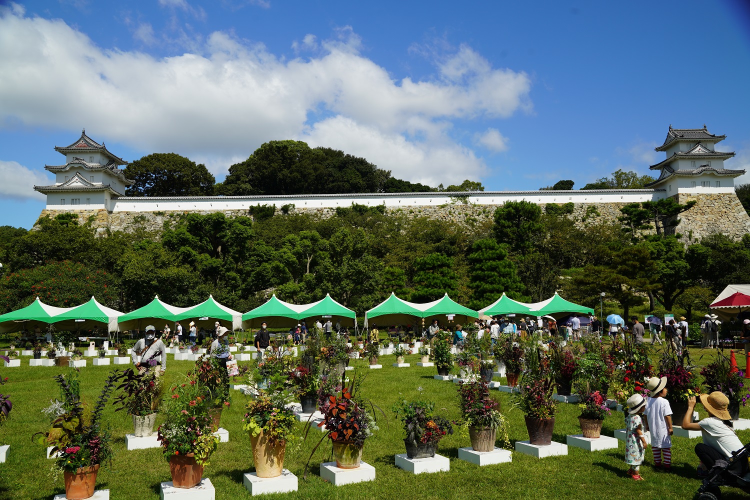 2025ひょうごまちなみガーデンショーin明石 | 一般社団法人 明石観光協会