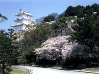 明石城と明石公園の写真