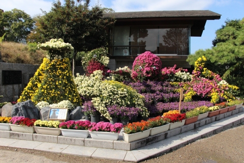 第95回　明石公園菊花展
